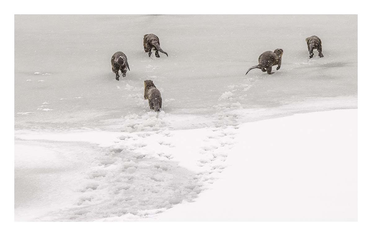Grand Teton NP